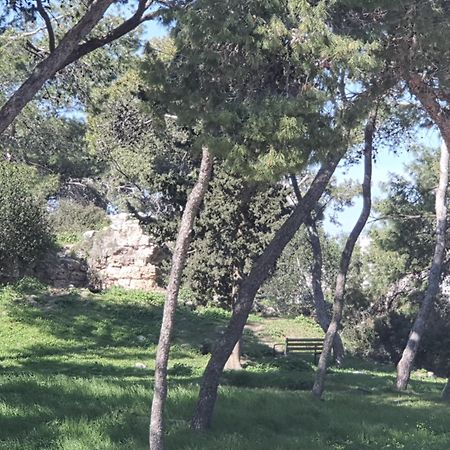 דירות חיפה מרום רזידנס רוממה מראה חיצוני תמונה