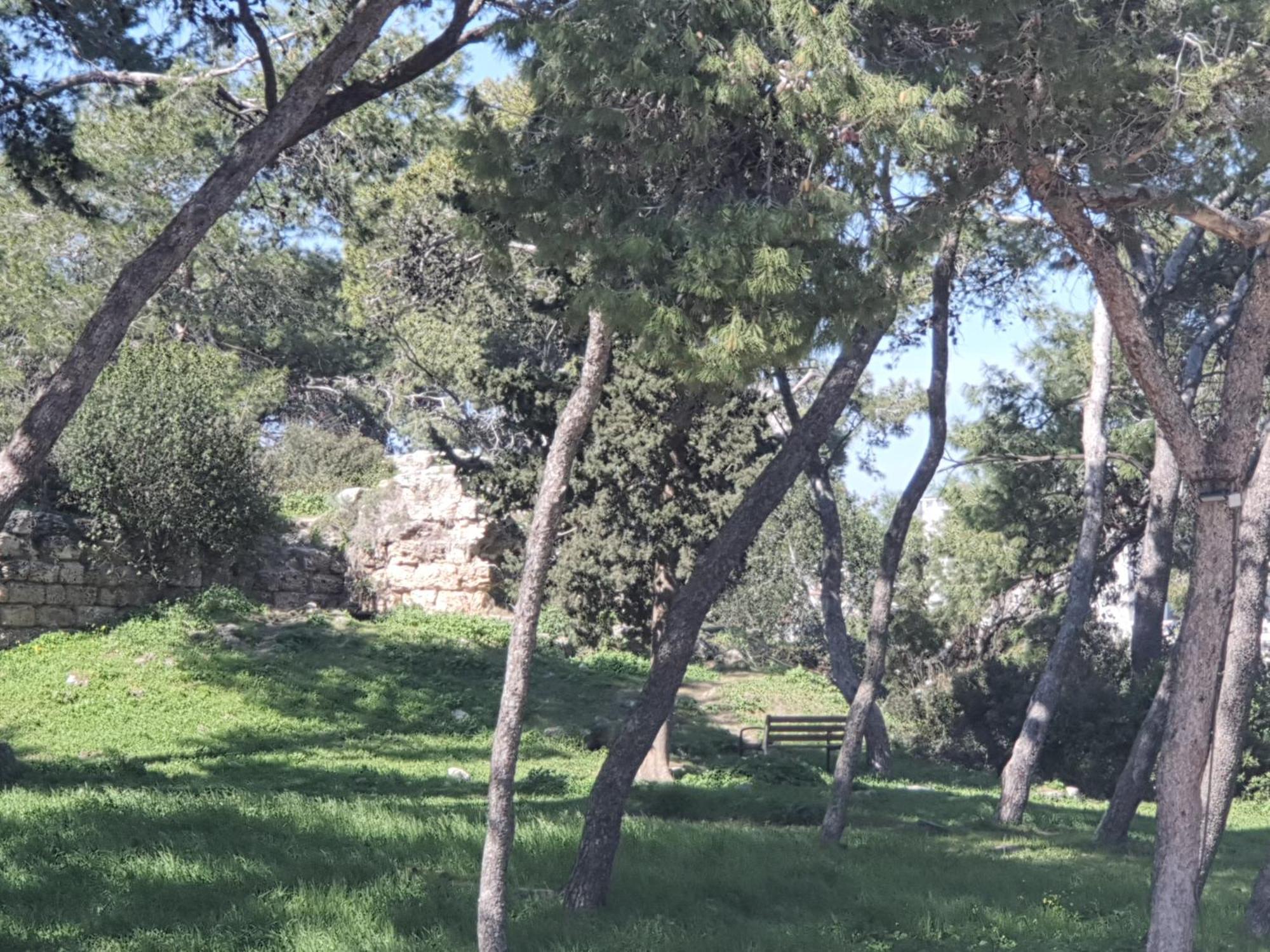 דירות חיפה מרום רזידנס רוממה מראה חיצוני תמונה